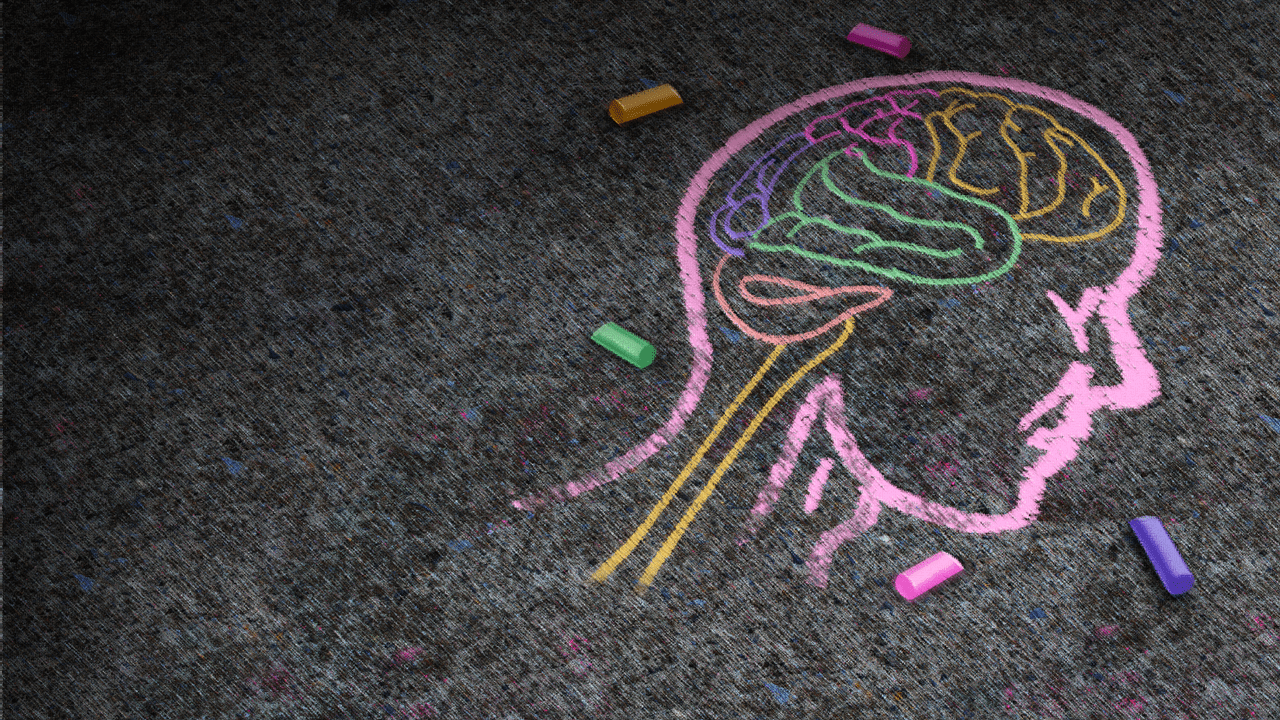 The human head and brain drew with chalk